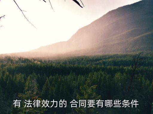 有 法律效力的 合同要有哪些條件