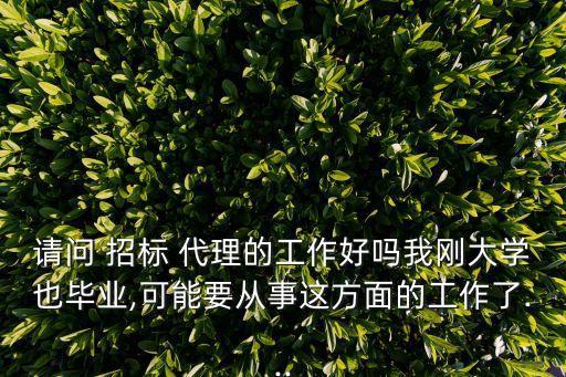 請(qǐng)問 招標(biāo) 代理的工作好嗎我剛大學(xué)也畢業(yè),可能要從事這方面的工作了...