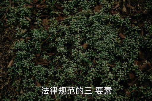 法律權(quán)利三要素是指什么,法律三要素的內(nèi)容指什么