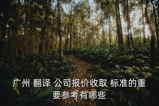 廣州 翻譯 公司報(bào)價(jià)收取 標(biāo)準(zhǔn)的重要參考有哪些