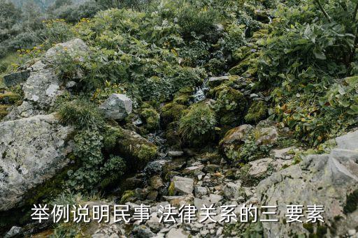 舉例說明民事 法律關系的三 要素