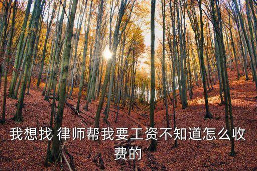 我想找 律師幫我要工資不知道怎么收費的