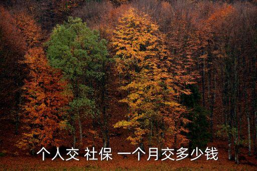 個人交 社保 一個月交多少錢