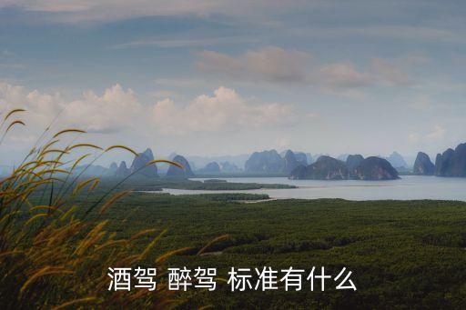 酒駕 醉駕 標準有什么