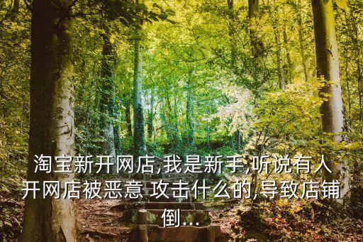  淘寶新開(kāi)網(wǎng)店,我是新手,聽(tīng)說(shuō)有人開(kāi)網(wǎng)店被惡意 攻擊什么的,導(dǎo)致店鋪倒...