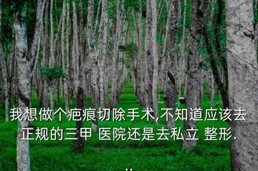 我想做個疤痕切除手術(shù),不知道應(yīng)該去正規(guī)的三甲 醫(yī)院還是去私立 整形...