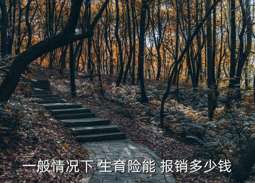 一般情況下 生育險能 報銷多少錢