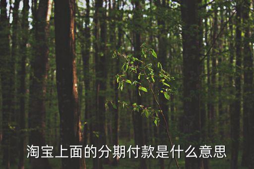 分期付