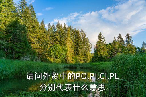 請問外貿(mào)中的PO,PI,CI,PL分別代表什么意思