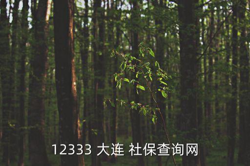 12333 大連 社保查詢網(wǎng)