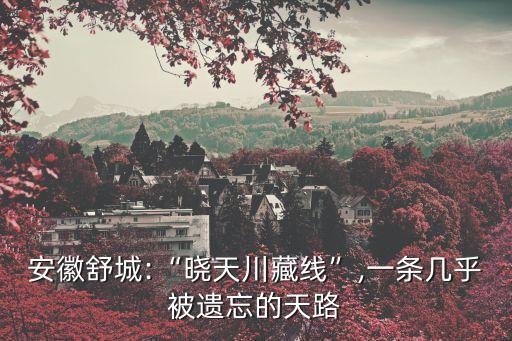 曾楊