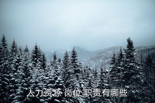 員工關(guān)系崗位職責(zé),公司員工關(guān)系崗位職責(zé)