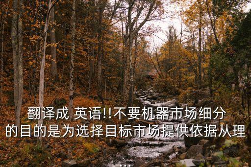  翻譯成 英語(yǔ)!!不要機(jī)器市場(chǎng)細(xì)分的目的是為選擇目標(biāo)市場(chǎng)提供依據(jù)從理...