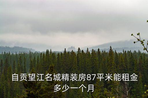  自貢望江名城精裝房87平米能租金多少一個月