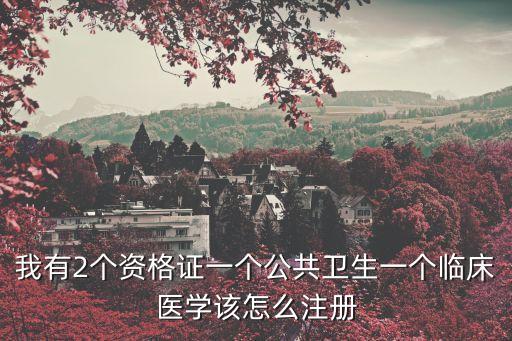 我有2個(gè)資格證一個(gè)公共衛(wèi)生一個(gè)臨床醫(yī)學(xué)該怎么注冊