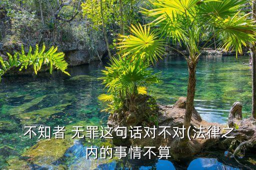  不知者 無罪這句話對不對(法律之內(nèi)的事情不算