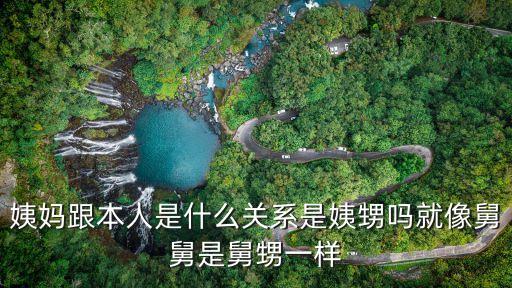 姨媽跟本人是什么關(guān)系是姨甥嗎就像舅舅是舅甥一樣