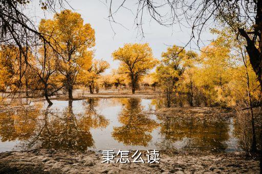 秉怎么讀