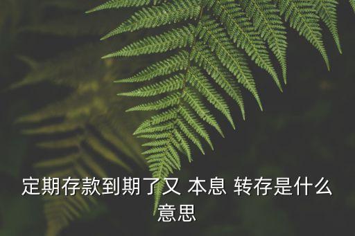 本息轉(zhuǎn)存是什么意思,農(nóng)村信用社本息轉(zhuǎn)存是什么意思