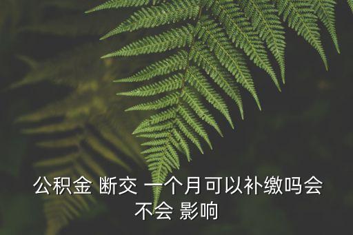 公積金 斷交 一個(gè)月可以補(bǔ)繳嗎會(huì)不會(huì) 影響