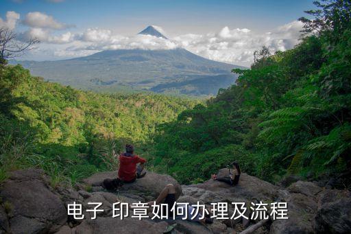  電子 印章如何辦理及流程