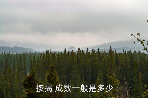 按揭成數(shù)