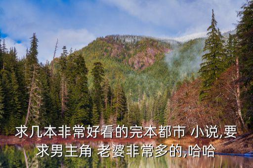 老婆的情人小說,一妻二夫