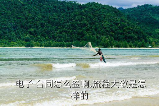 個人電子合同怎么簽,線上合同簽約軟件