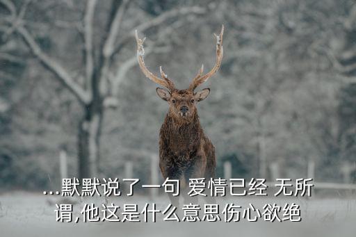 ...默默說了一句 愛情已經(jīng) 無(wú)所謂,他這是什么意思傷心欲絕