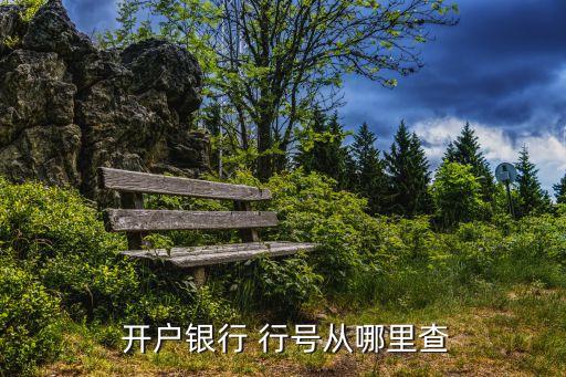  開戶銀行 行號(hào)從哪里查