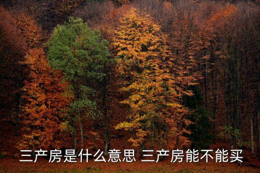  三產(chǎn)房是什么意思 三產(chǎn)房能不能買