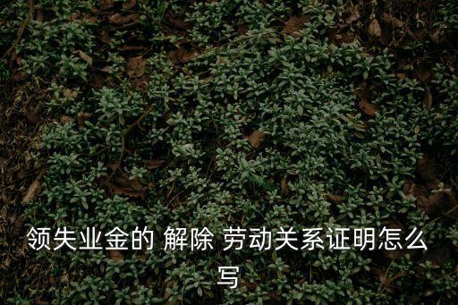 領(lǐng)失業(yè)金的 解除 勞動(dòng)關(guān)系證明怎么寫
