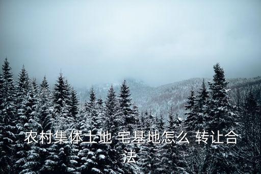 農(nóng)村宅基地使用權(quán)轉(zhuǎn)讓,山東農(nóng)村宅基地使用權(quán)轉(zhuǎn)讓