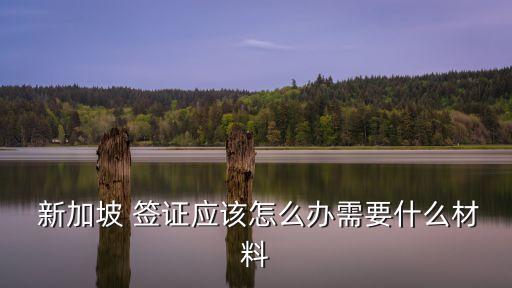  新加坡 簽證應(yīng)該怎么辦需要什么材料