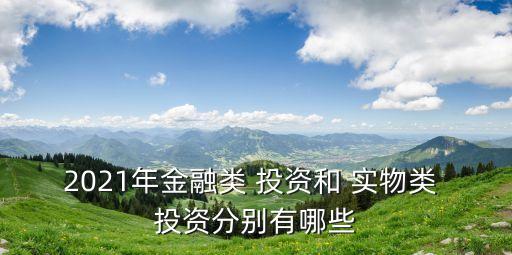 2021年金融類 投資和 實物類 投資分別有哪些