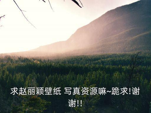 寫真電影網(wǎng)