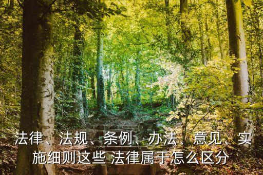  法律、法規(guī)、條例、辦法、意見、實施細則這些 法律屬于怎么區(qū)分