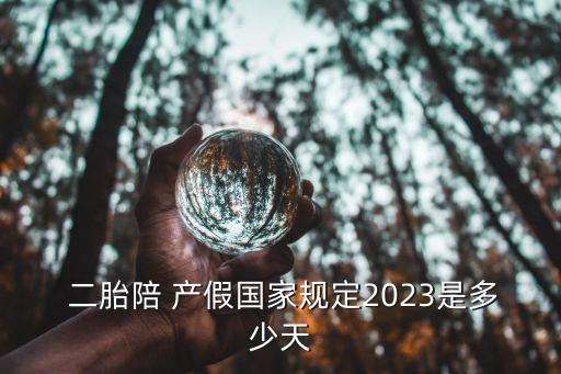  二胎陪 產(chǎn)假國(guó)家規(guī)定2023是多少天