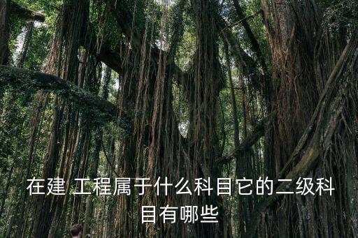 在建工程包括哪些,資產(chǎn)負(fù)債表的在建工程包括哪些