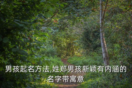 男孩起名方法,姓鄭男孩新穎有內(nèi)涵的名字帶寓意