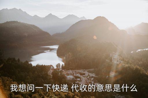 我想問(wèn)一下快遞 代收的意思是什么