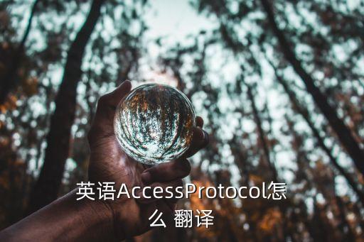 英語(yǔ)AccessProtocol怎么 翻譯