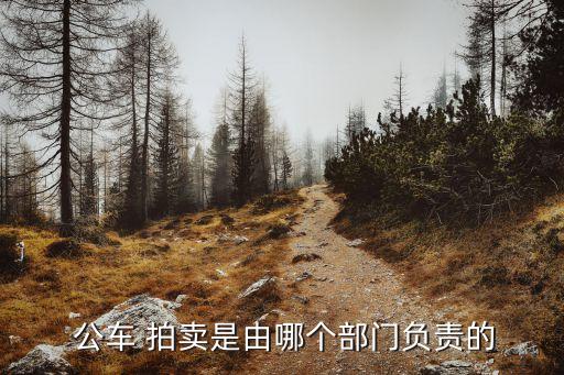  公車(chē) 拍賣(mài)是由哪個(gè)部門(mén)負(fù)責(zé)的