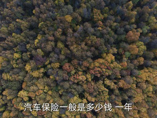 汽車保險一般是多少錢 一年
