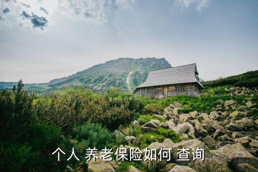 個(gè)人 養(yǎng)老保險(xiǎn)如何 查詢