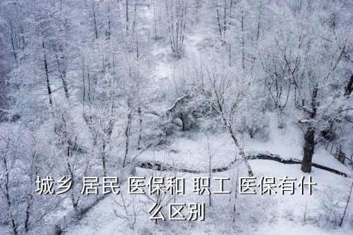 城鄉(xiāng) 居民 醫(yī)保和 職工 醫(yī)保有什么區(qū)別