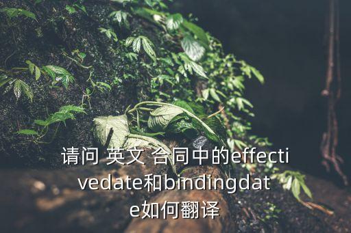 英文合同日期怎么寫,合同里的聯(lián)系人英文怎么寫