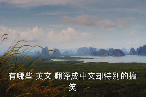 英文翻譯成漢語很精妙的段落