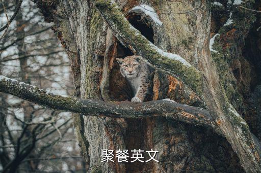 家庭聚餐英文