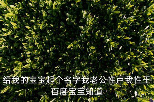 盧晶